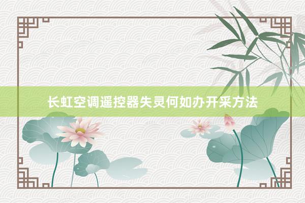 长虹空调遥控器失灵何如办开采方法